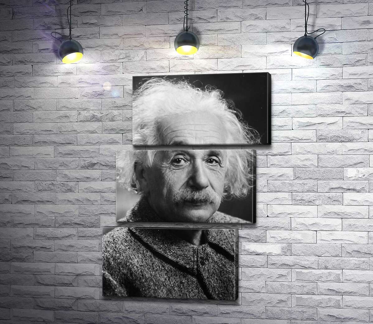 модульная картина Портрет гениального физика Альберта Эйнштейна (Albert Einstein) (Модуль №17)