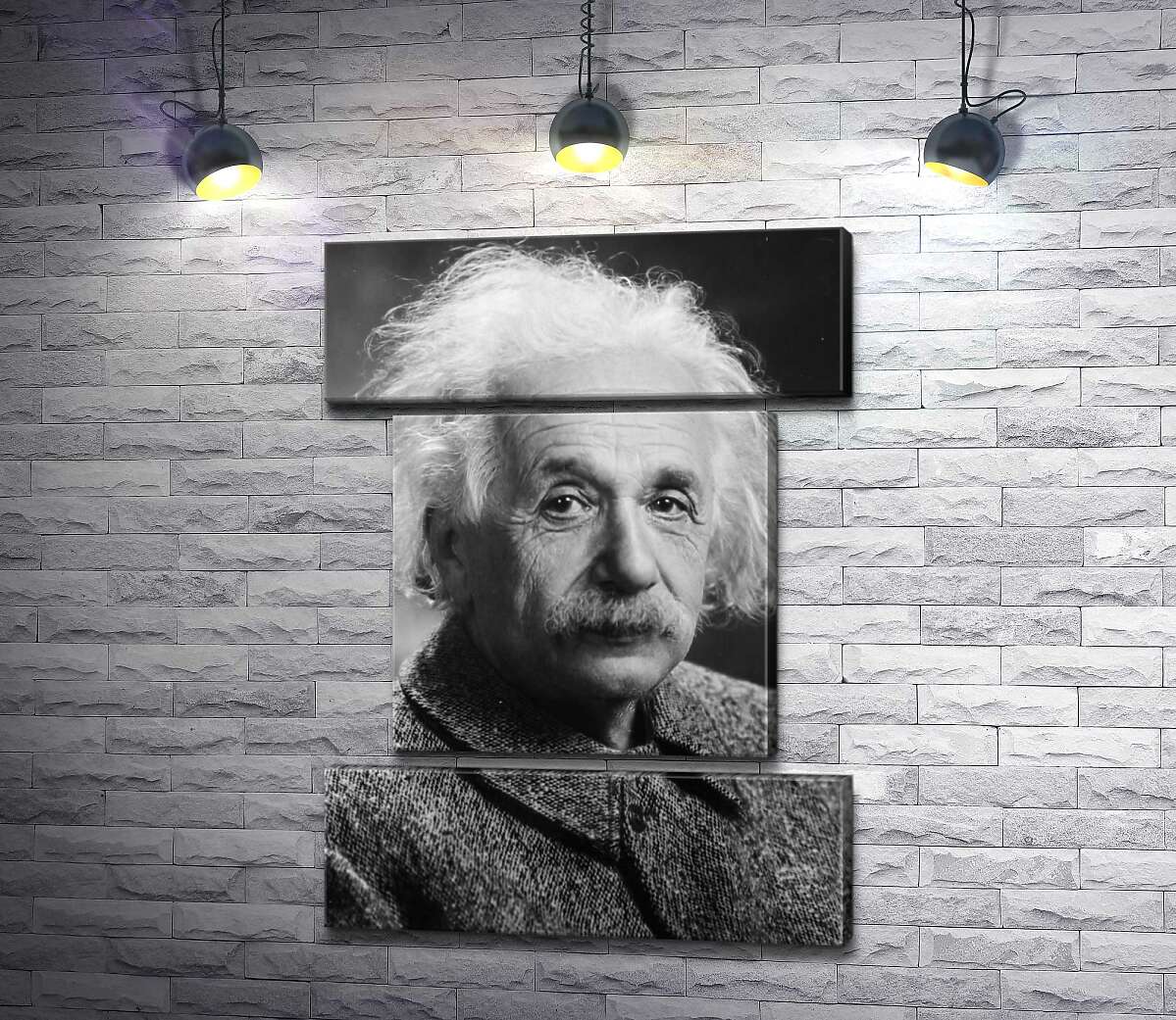 модульная картина Портрет гениального физика Альберта Эйнштейна (Albert Einstein) (Модуль №18)