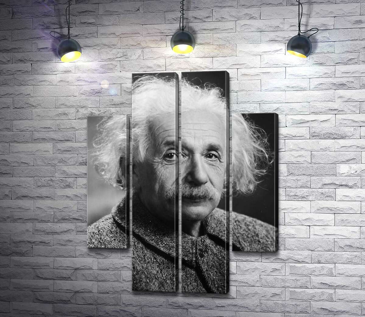 модульна картина Портрет геніального фізика Альберта Ейнштейна (Albert Einstein) (Модуль №20)