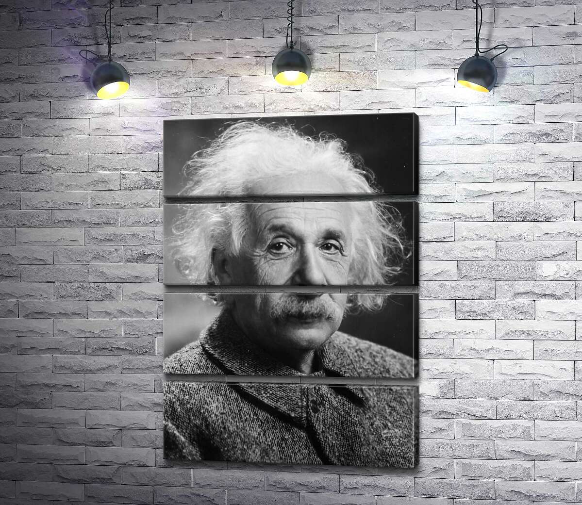 модульна картина Портрет геніального фізика Альберта Ейнштейна (Albert Einstein) (Модуль №22)