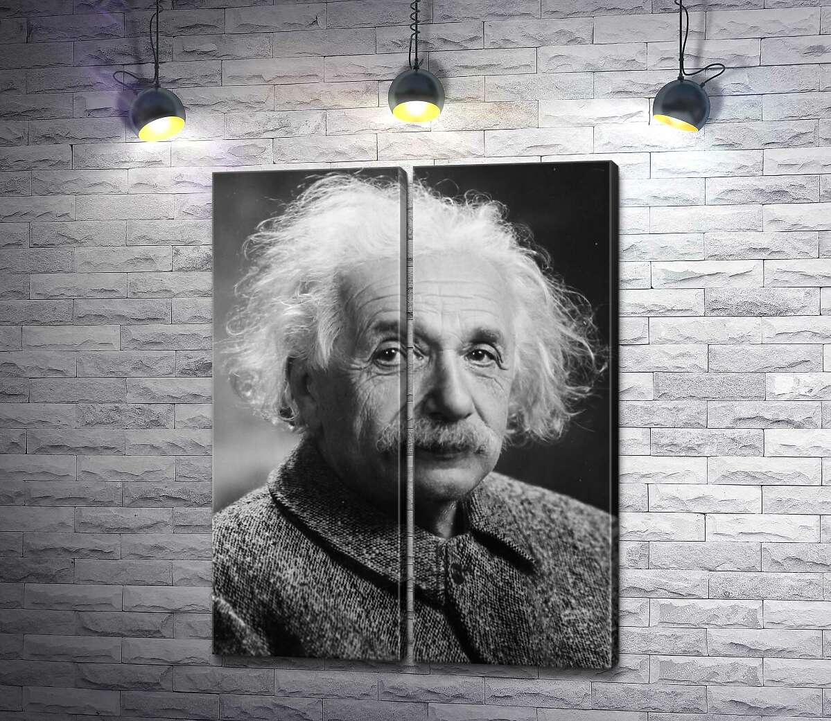 модульна картина Портрет геніального фізика Альберта Ейнштейна (Albert Einstein)