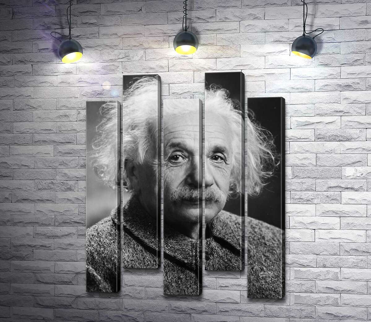 модульная картина Портрет гениального физика Альберта Эйнштейна (Albert Einstein) (Модуль №30)