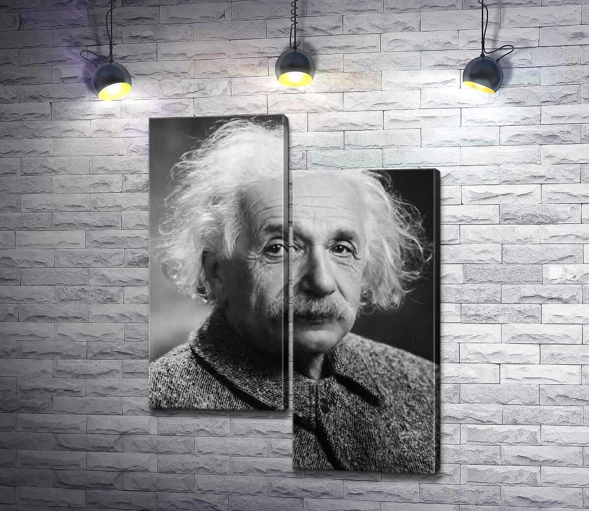 модульна картина Портрет геніального фізика Альберта Ейнштейна (Albert Einstein) (Модуль №9)