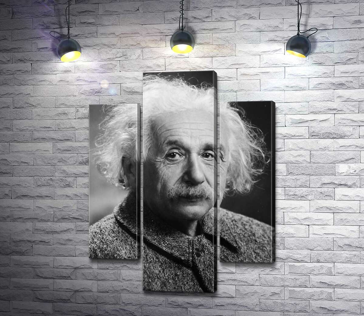 модульна картина Портрет геніального фізика Альберта Ейнштейна (Albert Einstein) (Модуль №10)