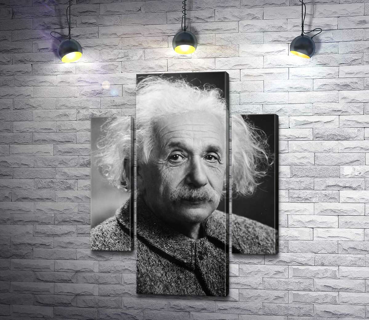 модульная картина Портрет гениального физика Альберта Эйнштейна (Albert Einstein) (Модуль №5)