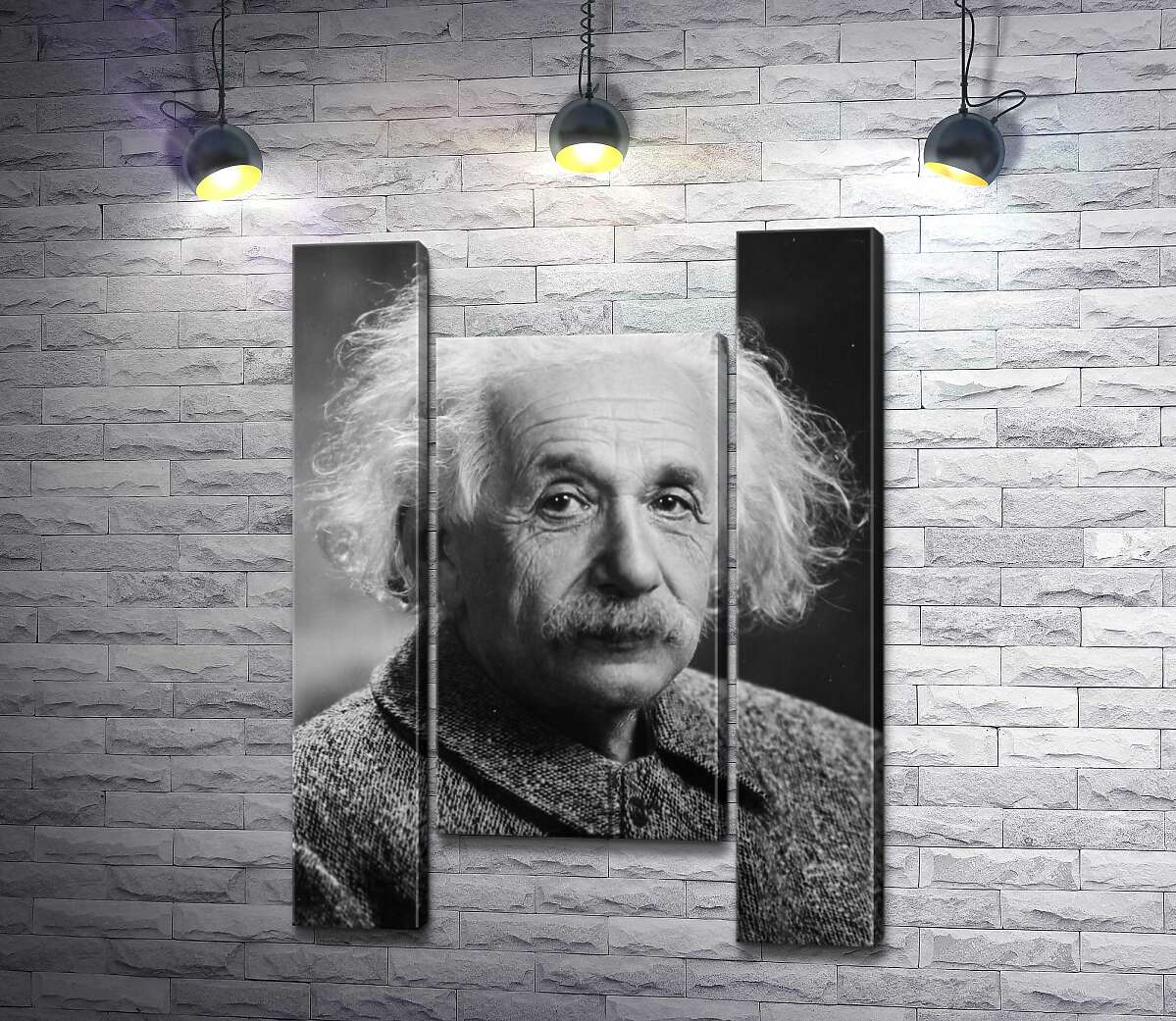 модульная картина Портрет гениального физика Альберта Эйнштейна (Albert Einstein) (Модуль №11)