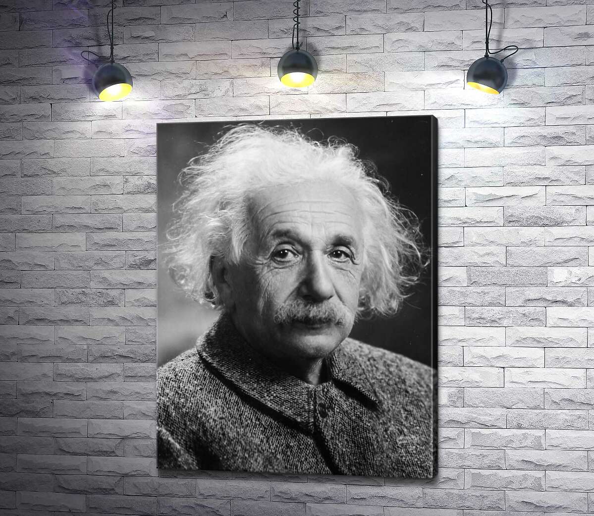картина Портрет геніального фізика Альберта Ейнштейна (Albert Einstein)