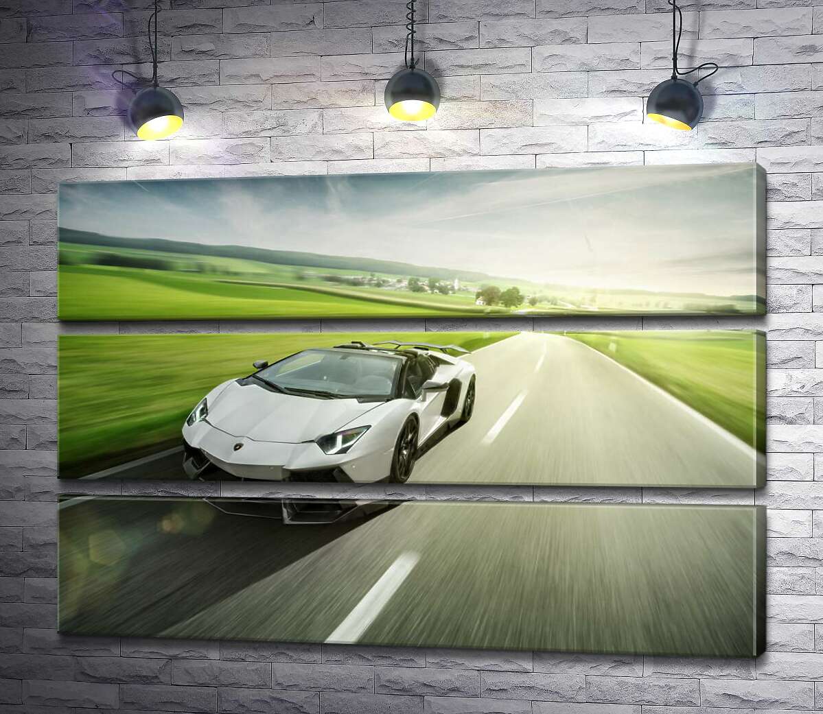модульна картина Білий Lamborghini Aventador Roadster мчить повз зелені поля (Модуль №15)
