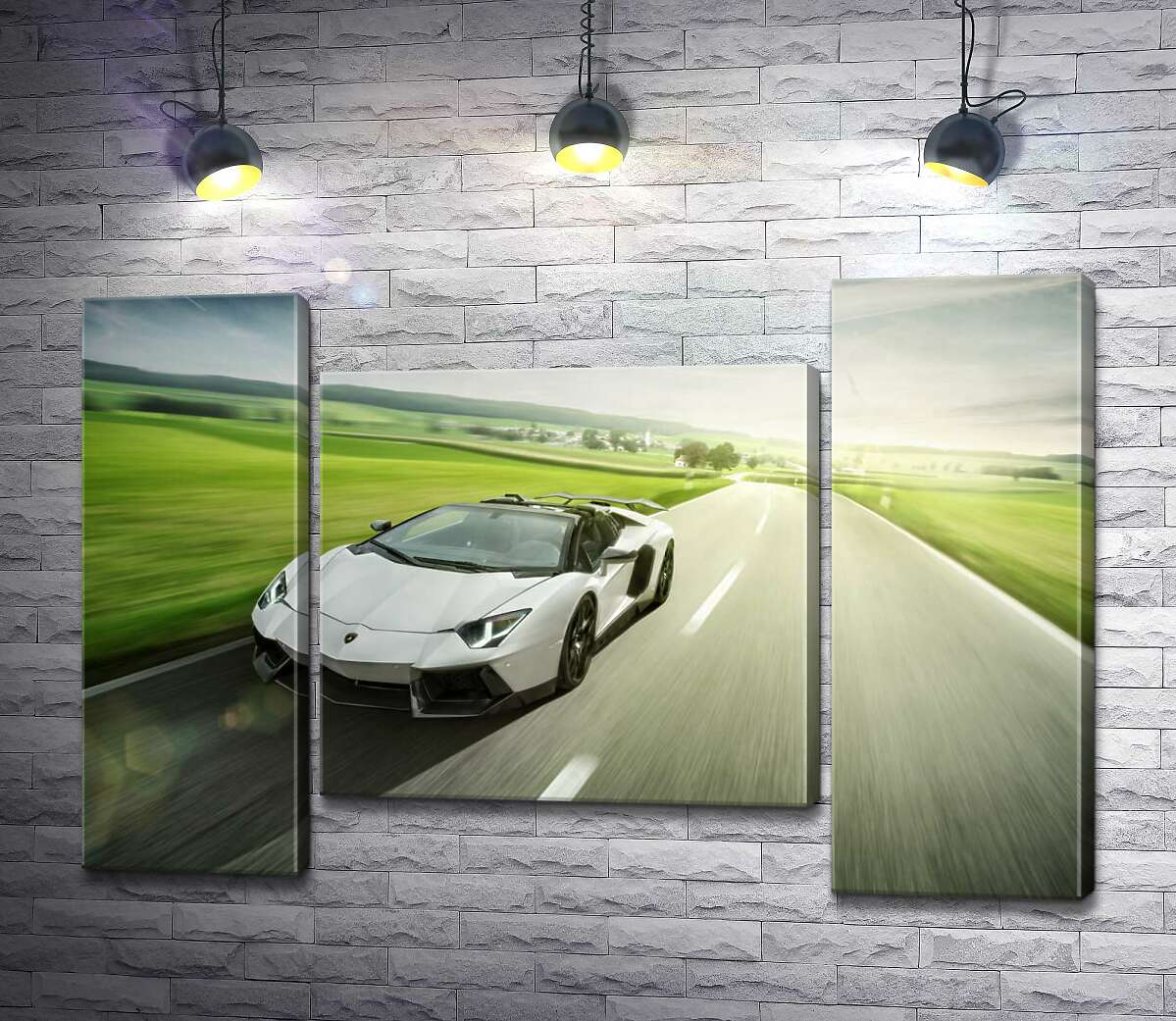 модульна картина Білий Lamborghini Aventador Roadster мчить повз зелені поля (Модуль №11)