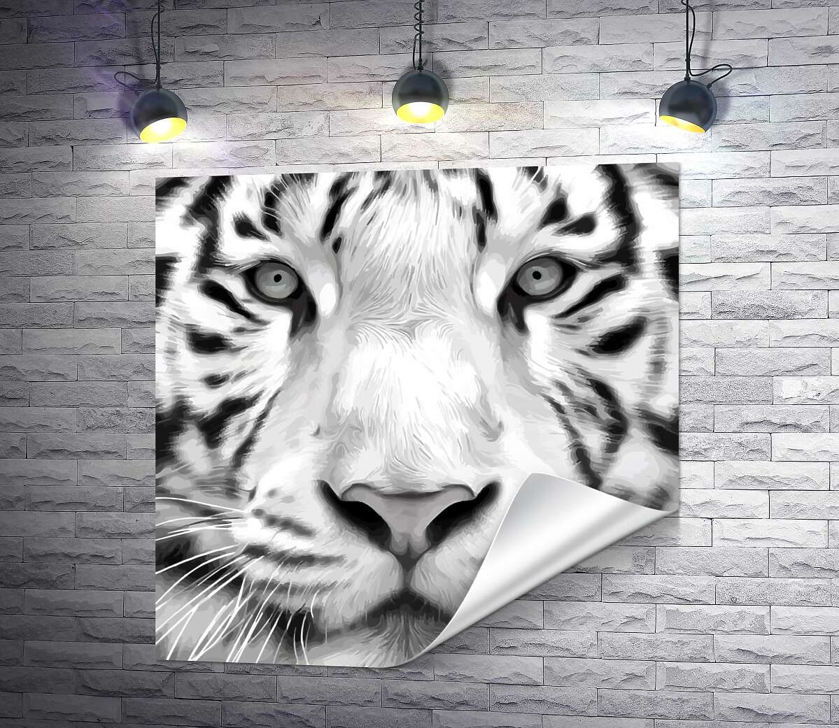 печать Черные полоски на морде белого бенгальского тигра