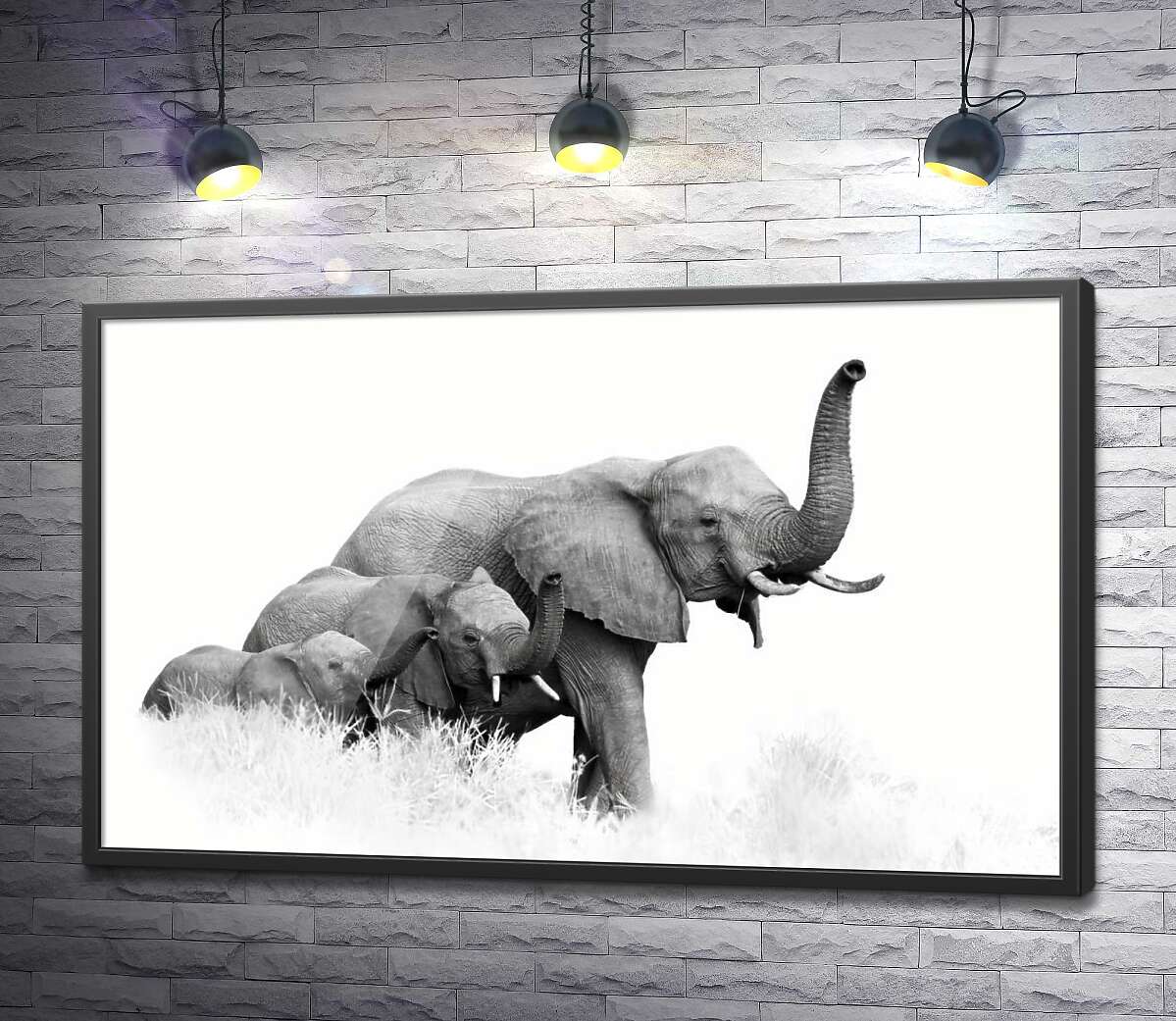 постер Семья слонов гуляет по саванне