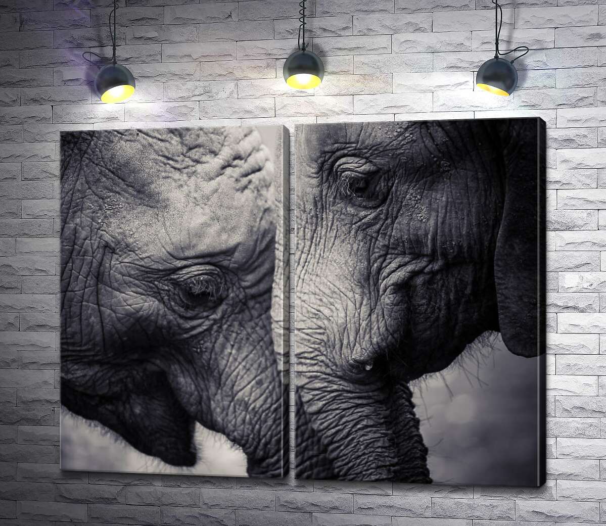 модульная картина Двое серых слонов ластятся друг к другу