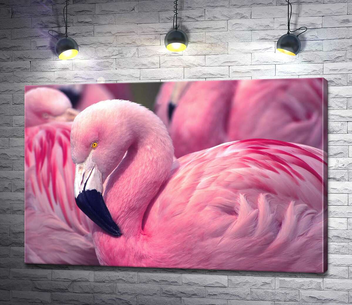 картина Рожевий фламінго стоїть серед зграї птахів