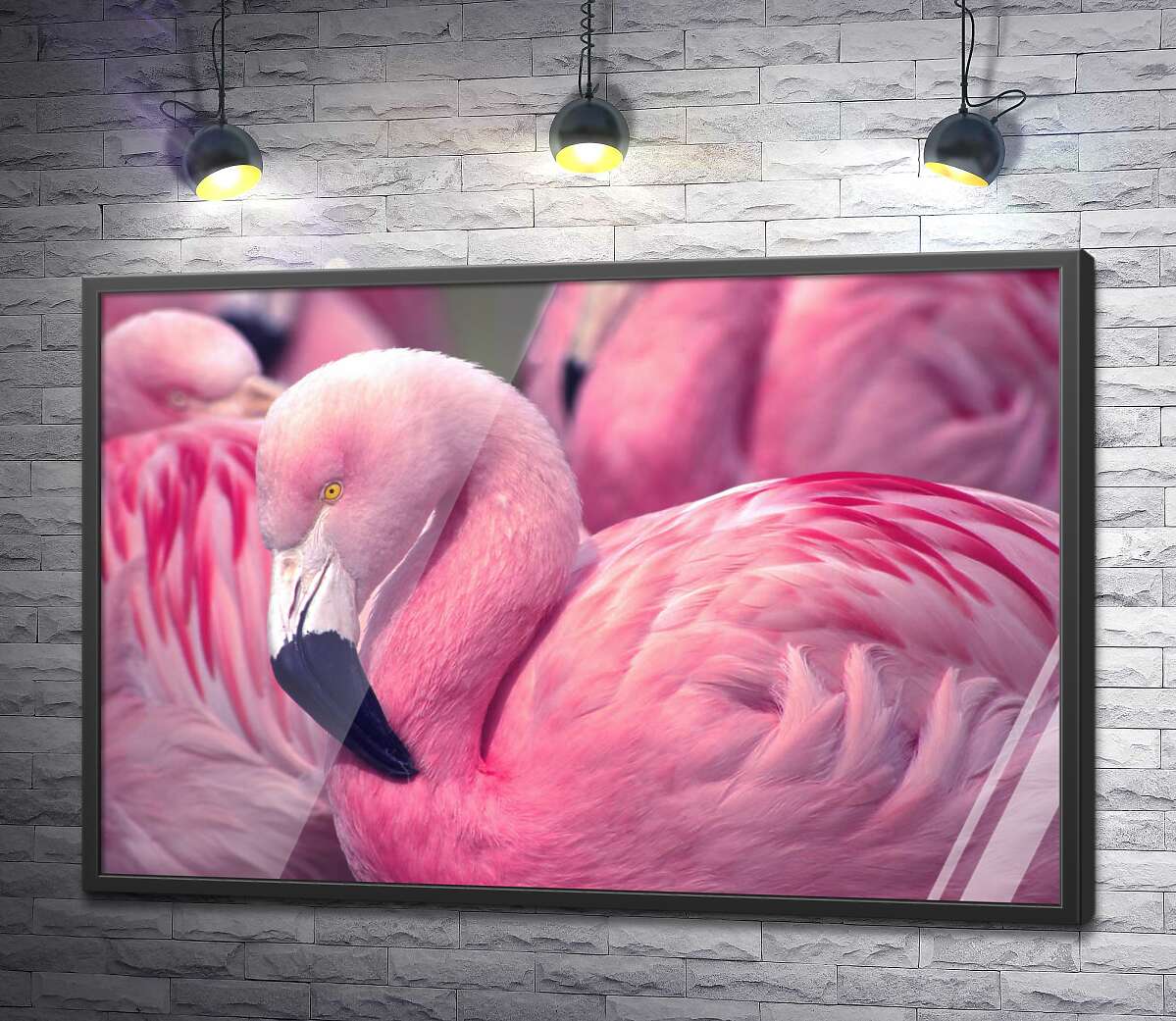 постер Розовый фламинго стоит среди стаи птиц
