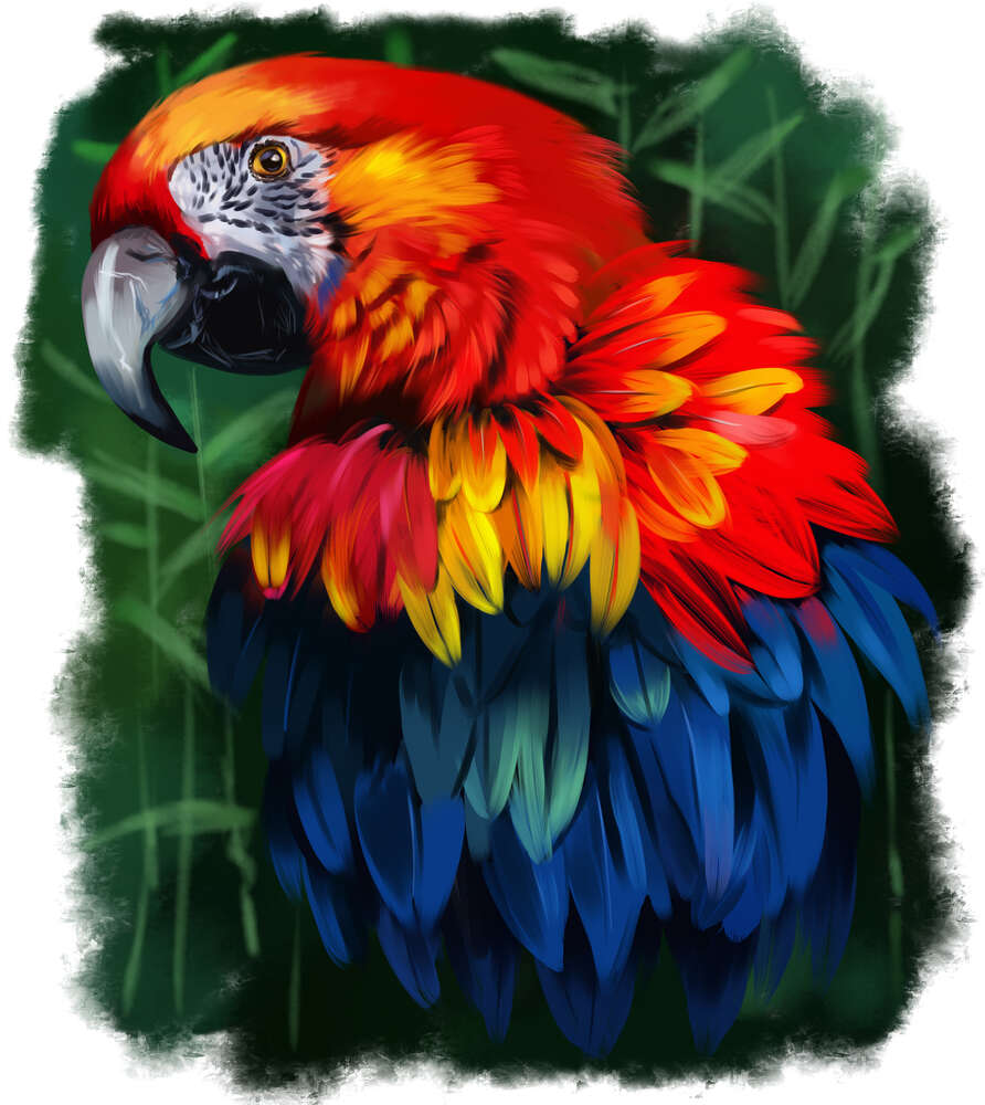 картина-постер Шовкова краса пір'їн яскравого папуги ара
