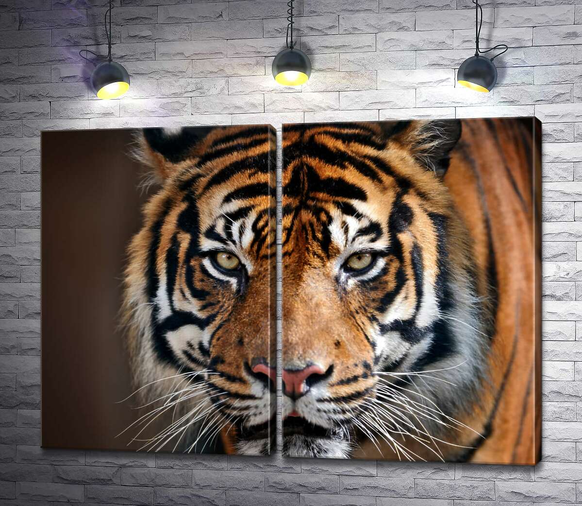 модульная картина Симметрия полосок на морде грозного тигра