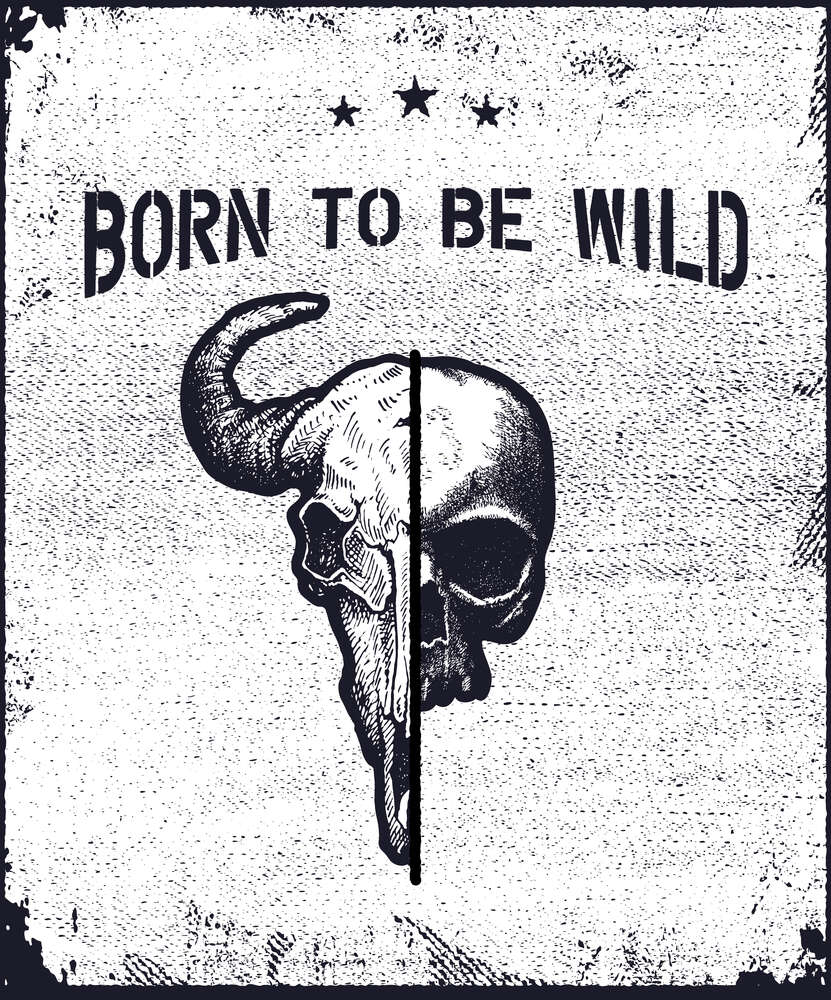 картина-постер Соединение черепов человека и быка под фразой "born to be wild"