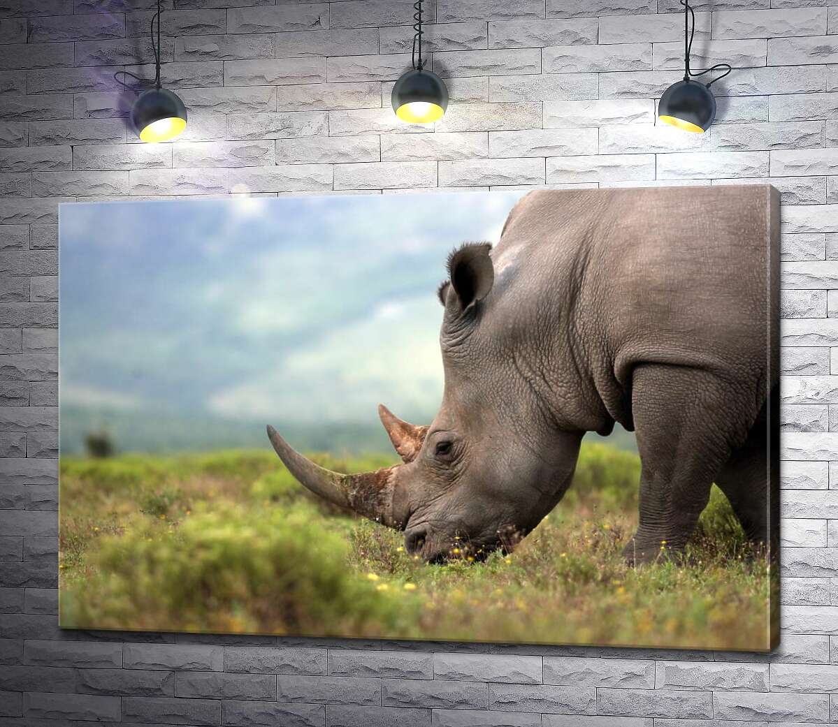 картина Покой природы в силуэте носорога