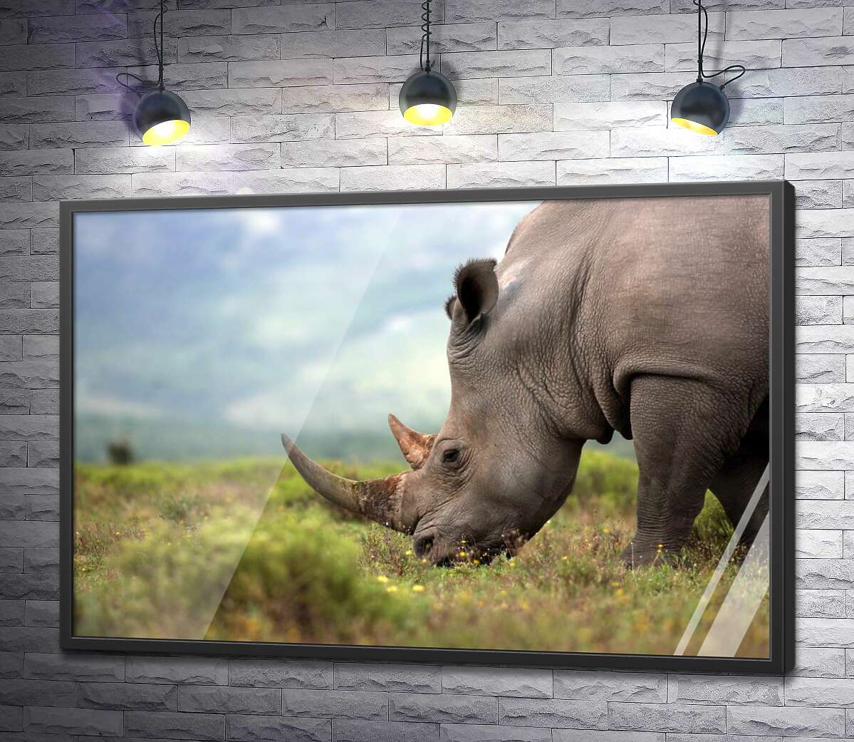 постер Покой природы в силуэте носорога
