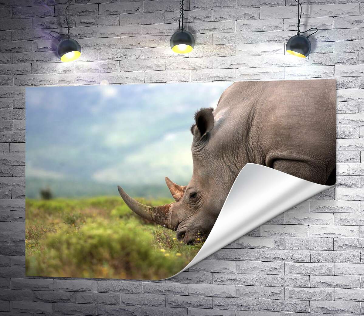 друк Спокій природи у силуеті носорога