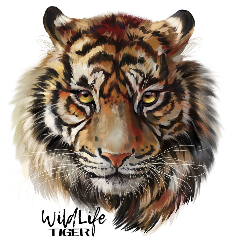 картина-постер Пронизливий погляд тигра поряд з написом "wild life tiger"