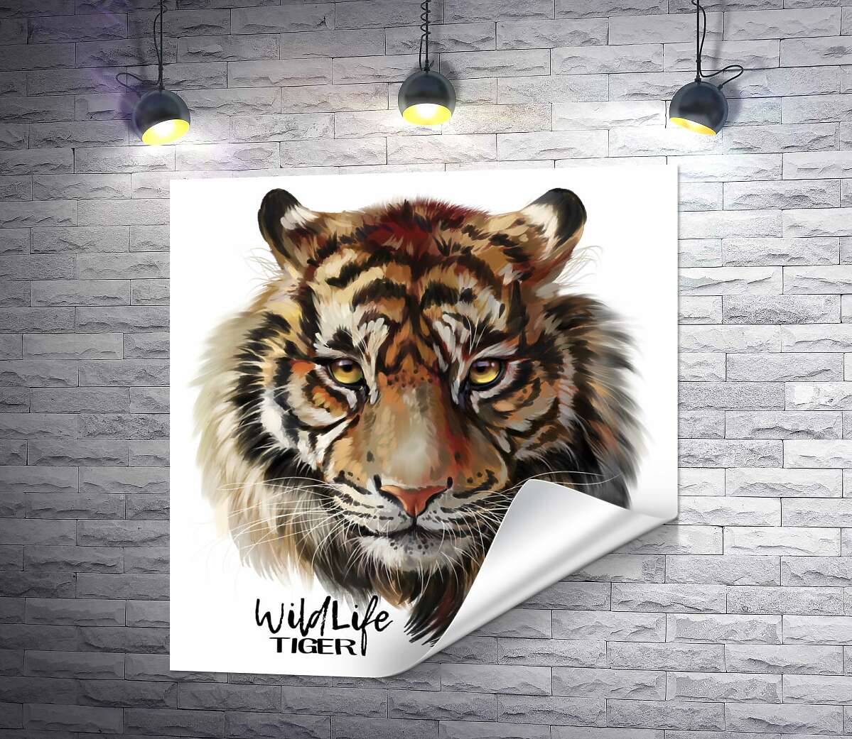 печать Пронзительный взгляд тигра рядом с надписью "wildlife tiger"