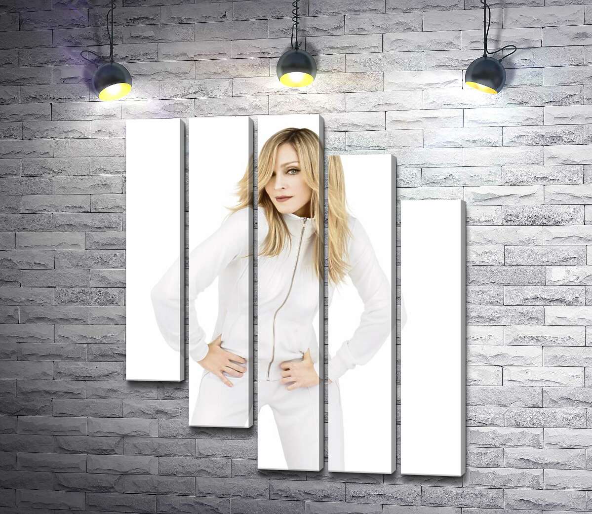 модульная картина Чистота белого образа Мадонны (Madonna) (Модуль №28)