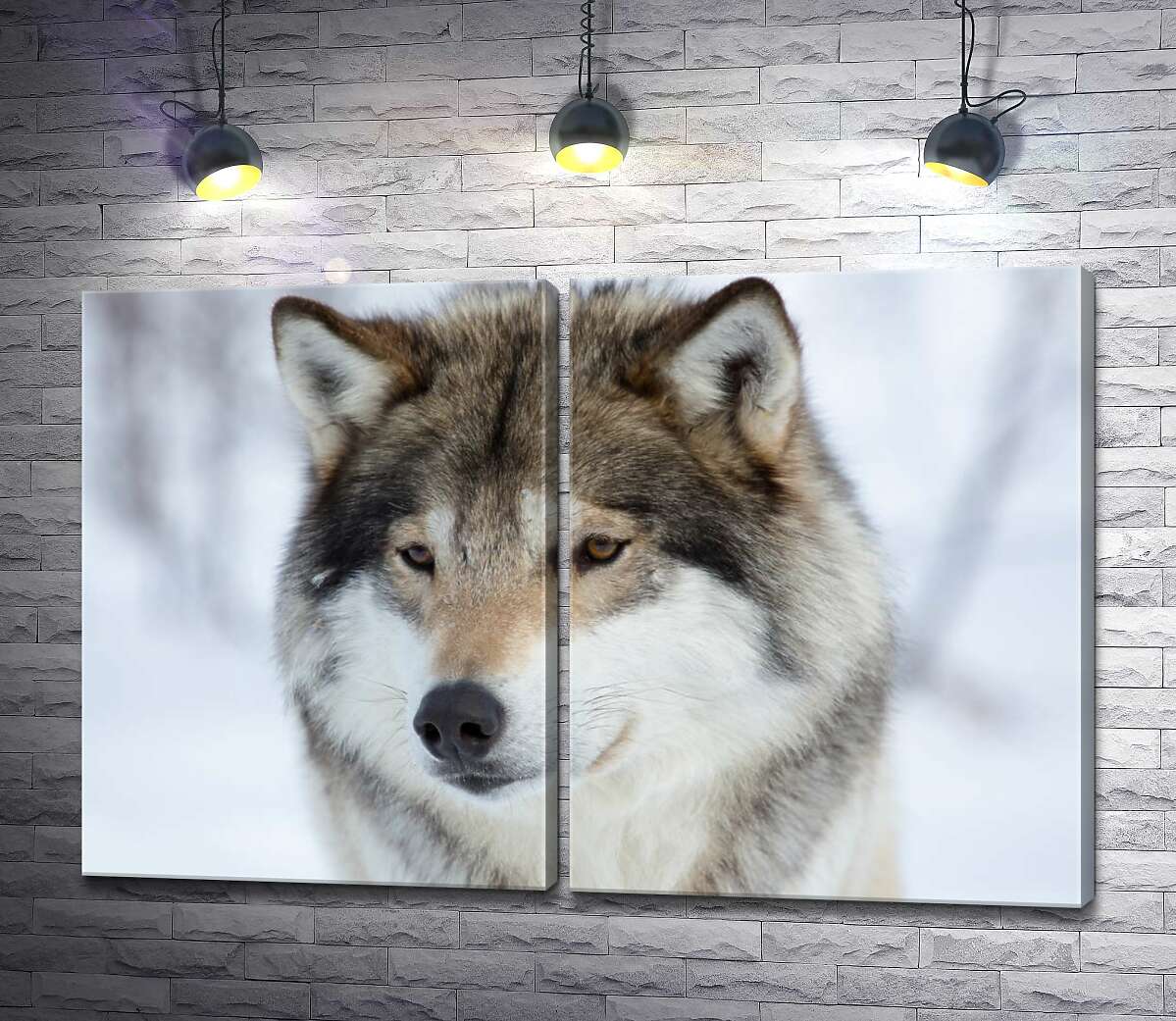 модульная картина Пушистая шерсть волка в зимнем лесу