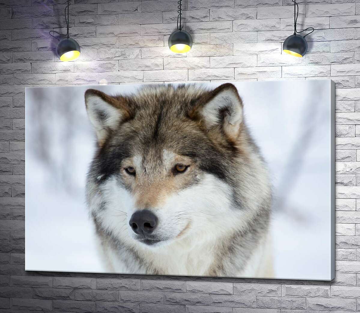 картина Пушистая шерсть волка в зимнем лесу