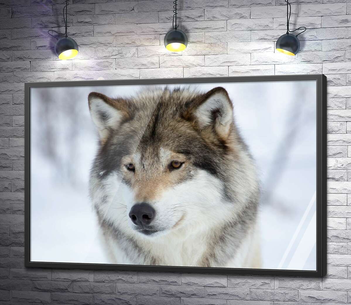 постер Пухнаста шерсть вовка в зимовому лісі