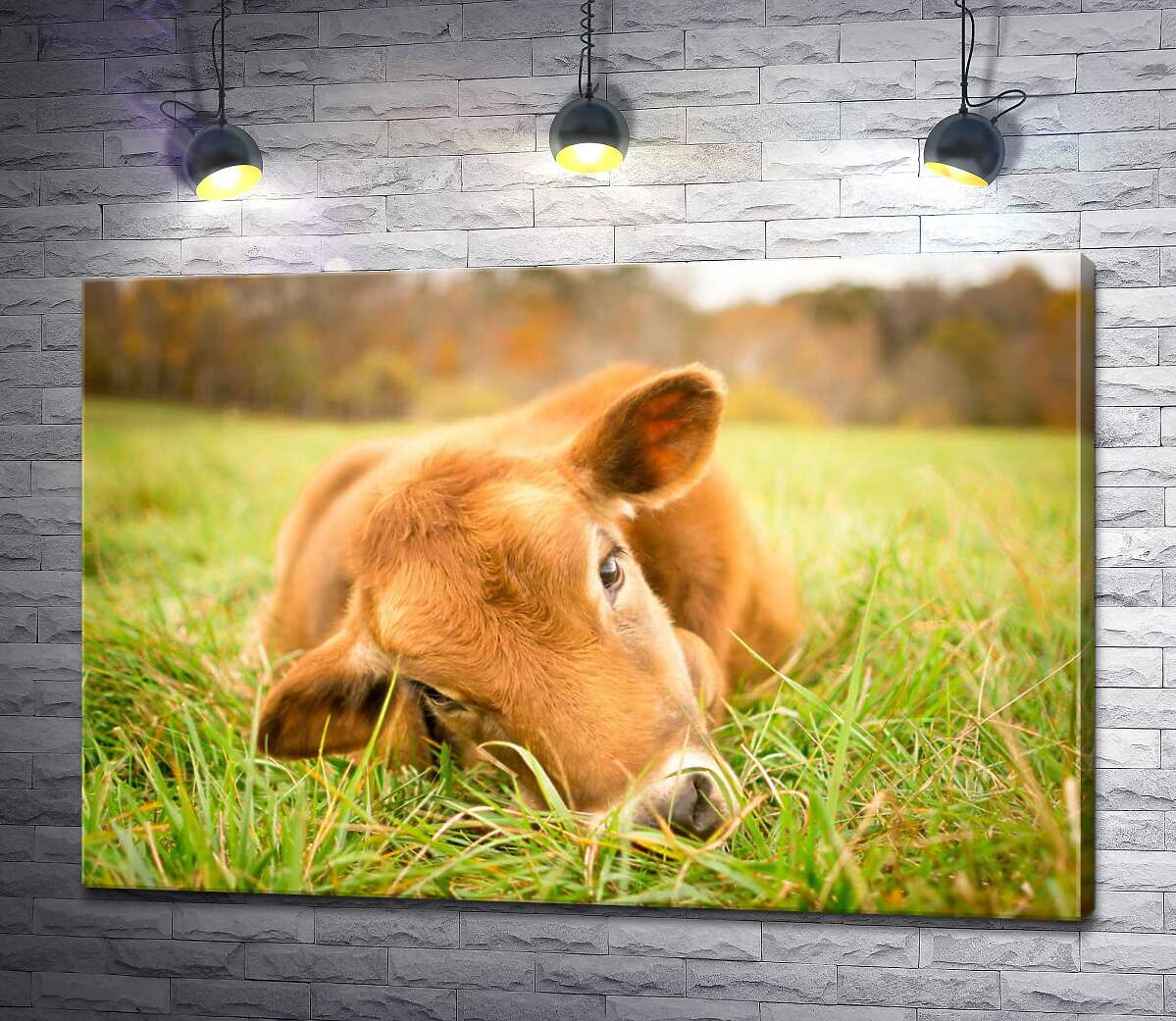 картина Рыжий теленок лежит в сочной траве