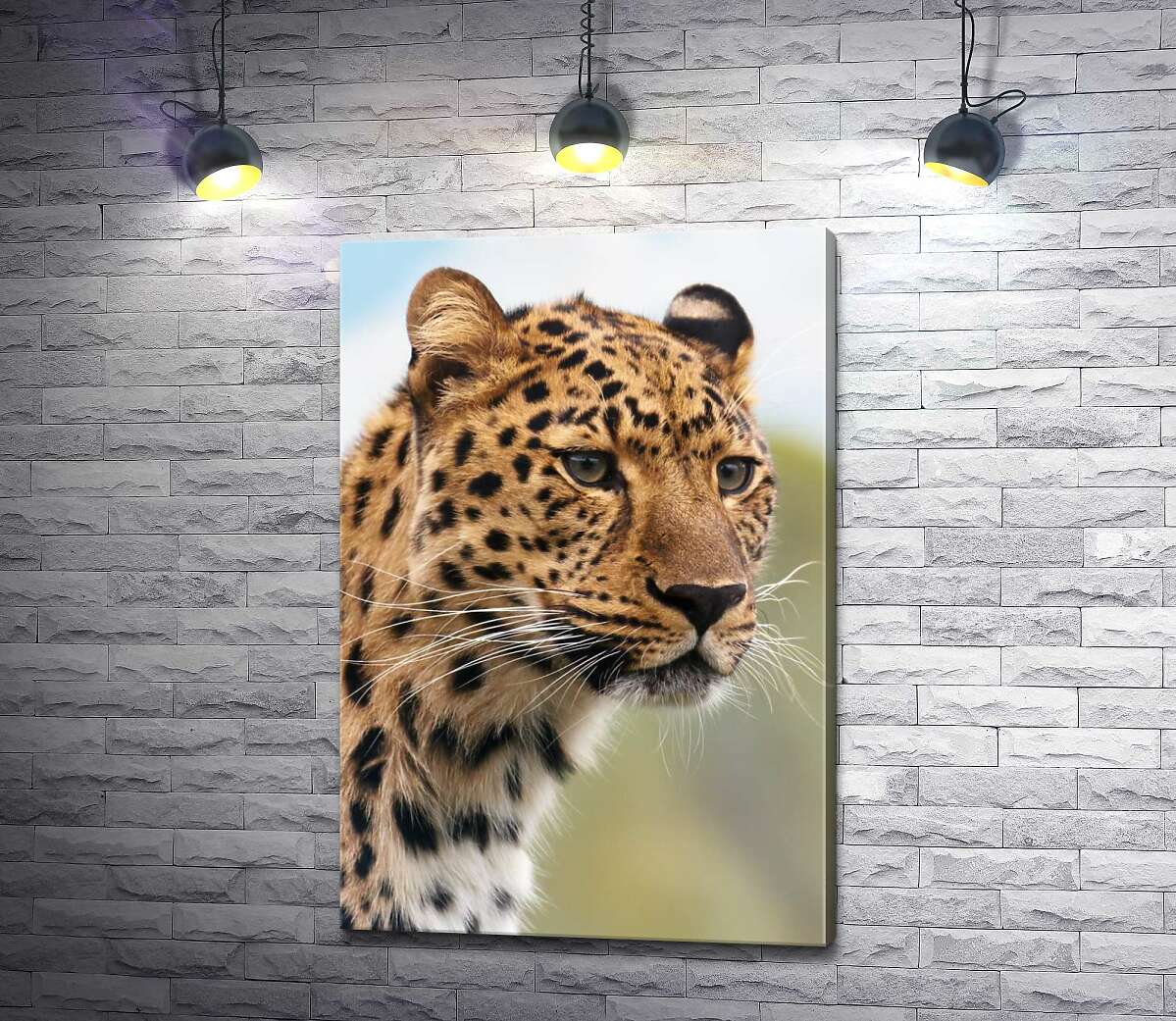 картина Леопард выжидает добычу