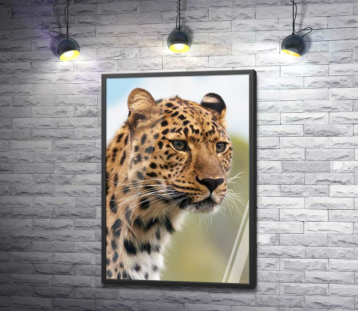 постер Леопард выжидает добычу