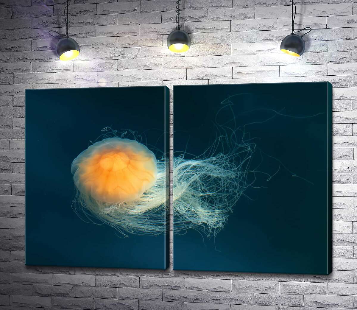 модульная картина Прозрачное тело медузы светится оранжевым