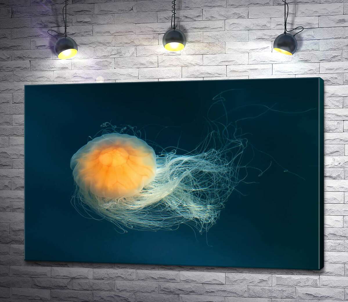 картина Прозоре тіло медузи світиться помаранчевим