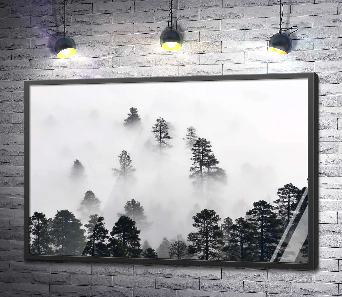 постер Вершини сосон височіють над туманом