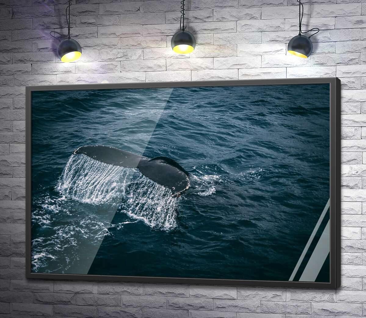 постер Білі струмені води стікають із хвоста кита