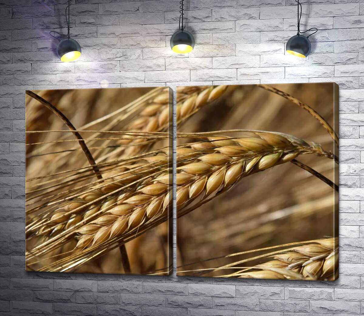 модульна картина Довгі вусики на стиглих колосках пшениці