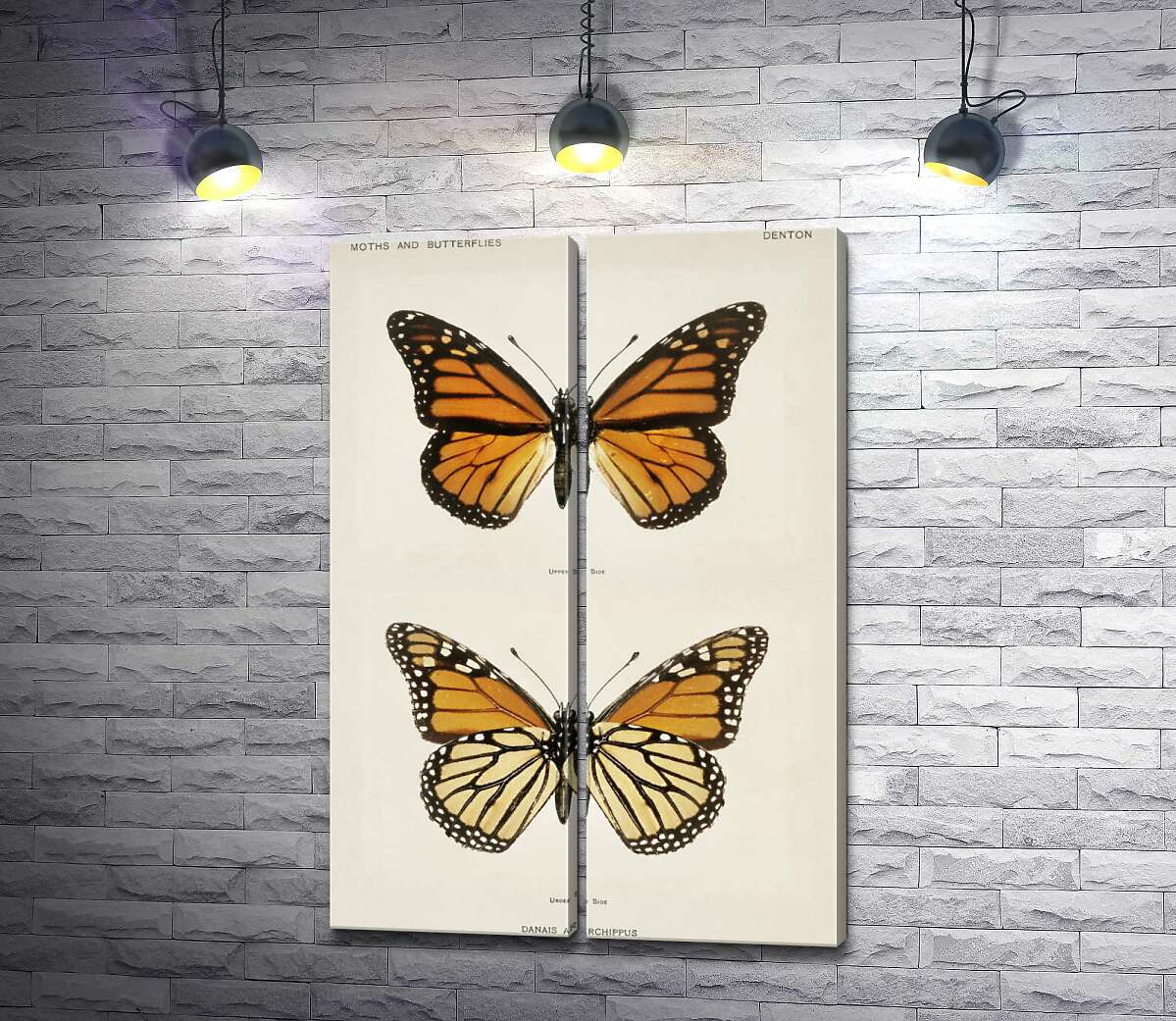 модульна картина Помаранчево-чорний візерунок крилець метелика монарха