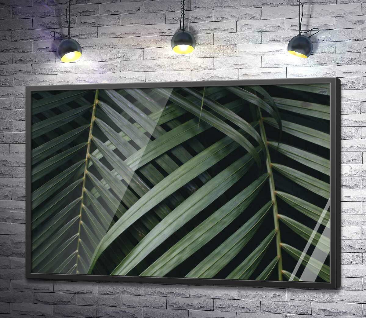 постер Тонкие полоски зеленых пальмовых листьев