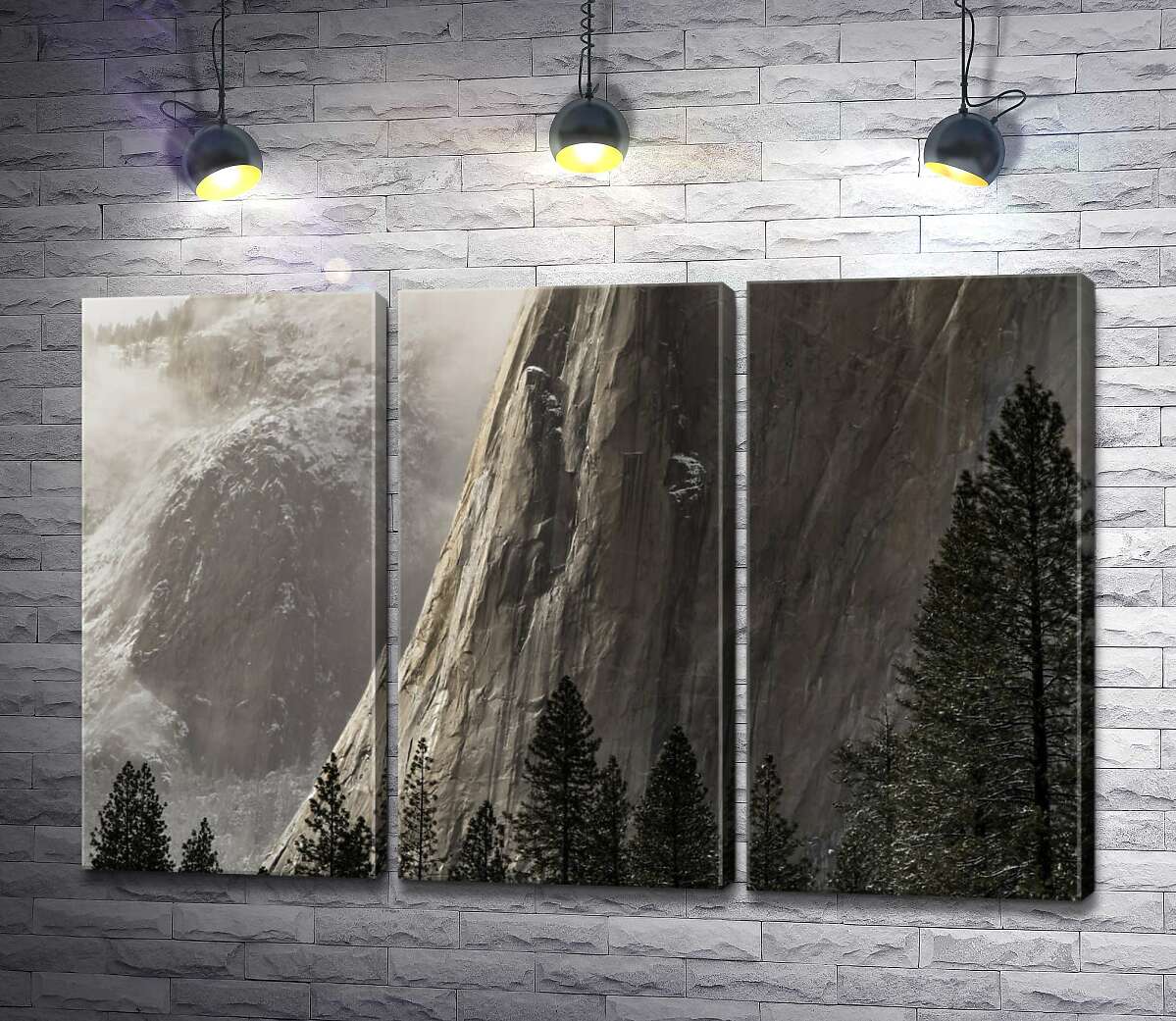 модульная картина Отвесная скала Эль Капитан (El Capitan) стоит перед стройными соснами (Модуль №2)