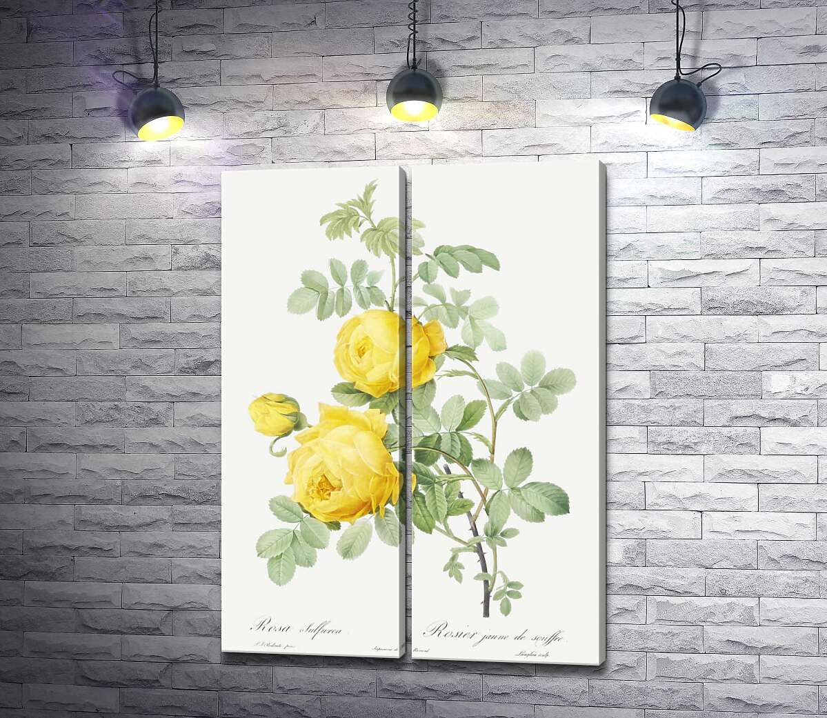 модульная картина Винтажная ветка желтых роз