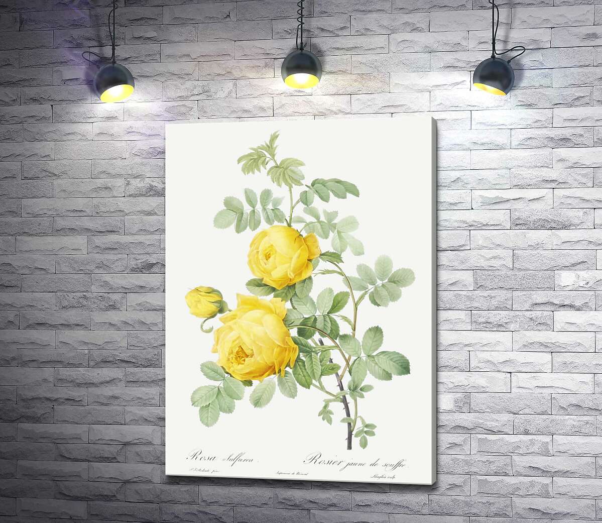картина Винтажная ветка желтых роз
