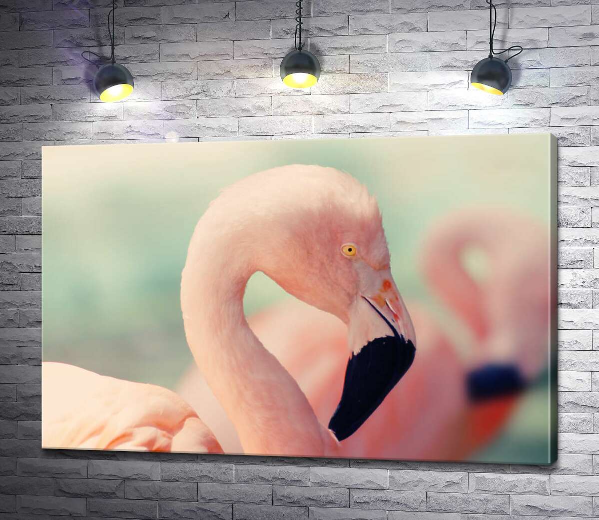 картина Пастельный оттенок перьев фламинго