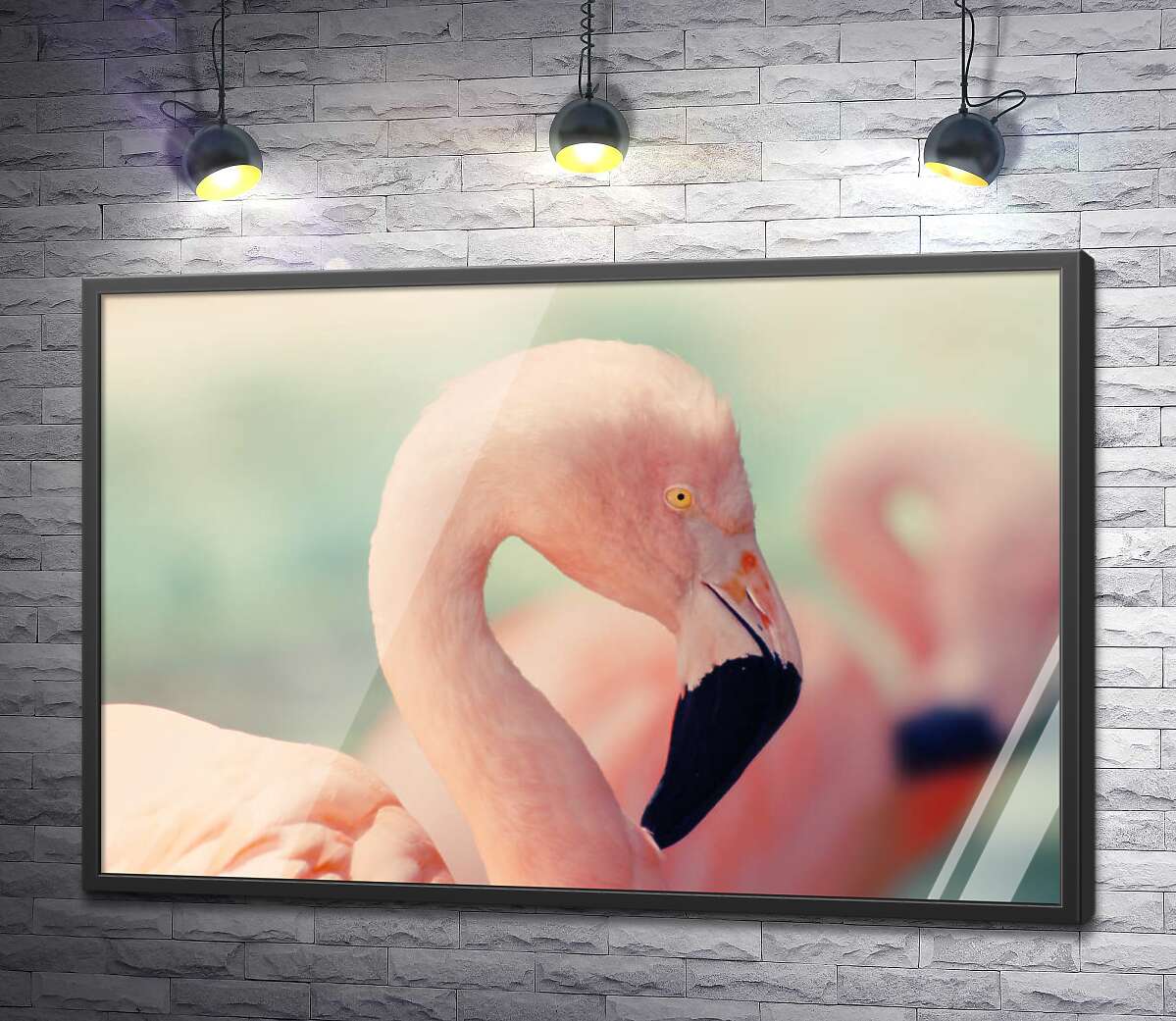 постер Пастельный оттенок перьев фламинго