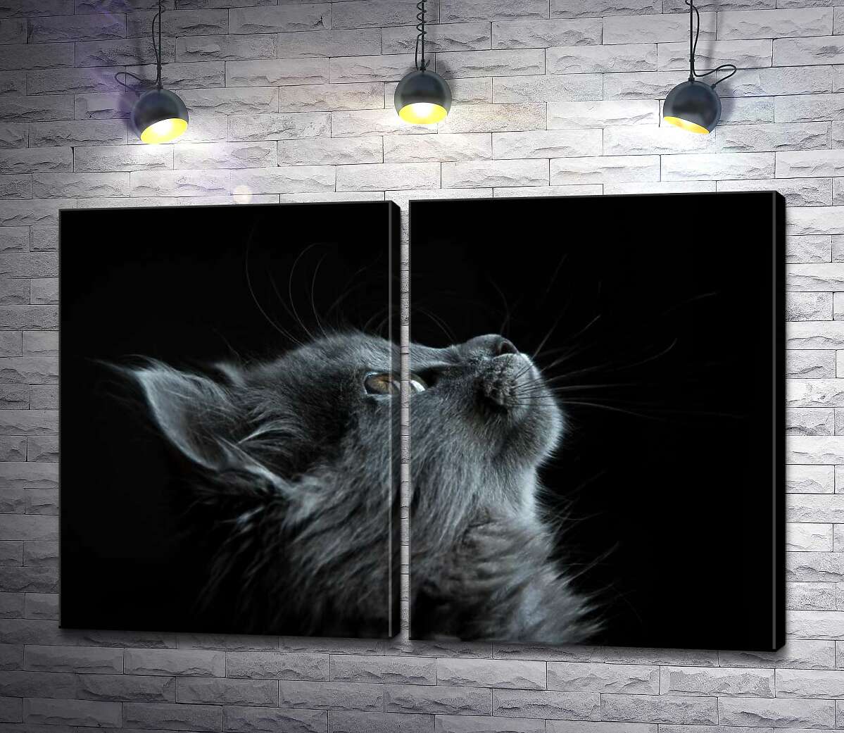 модульна картина Мордочка пухнастого сірого кошеняти