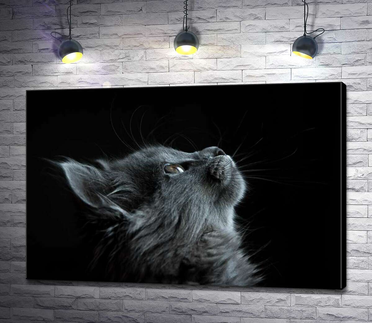 картина Мордочка пушистого серого котенка