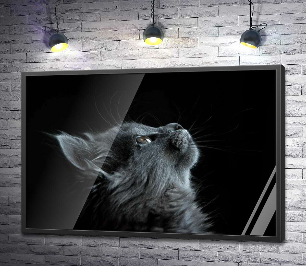 постер Мордочка пушистого серого котенка