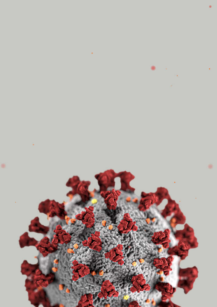 картина-постер Модель строения коронавируса