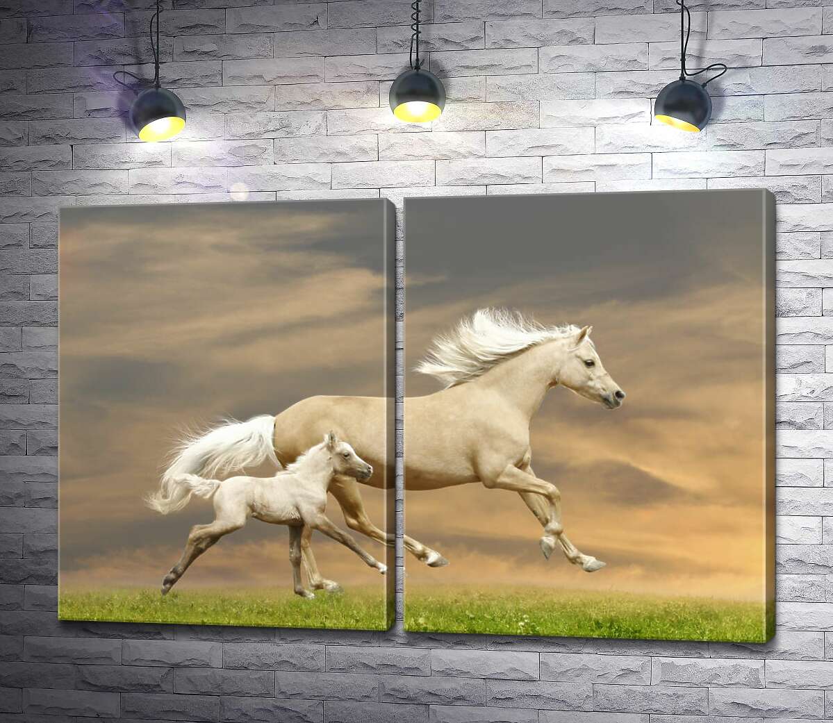 модульная картина Белые кони, мать и детеныш, скачут по траве